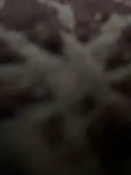 HHHHHxxn online show from 05-01-26, 09:41