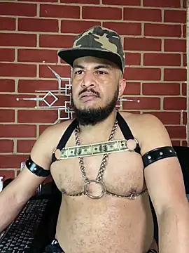 the master foal  online show from 02-04-26, 02:34