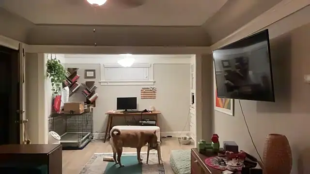 dreamyriri online show from 03-15-26, 01:06