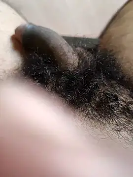 Snapshot of Honestguy100 chatting on 11-08-25, 05:29 Honestguy100 online show from 11-08-25, 05:29