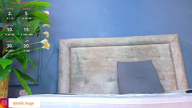 nicol snow online show from 01-12-26, 01:49