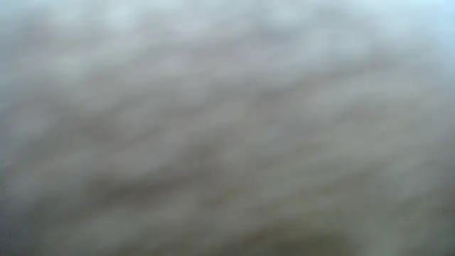 DAPHNE doll online show from 11-06-25, 03:35