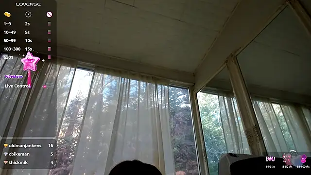 PixieLand online show from 01-29-25, 11:41