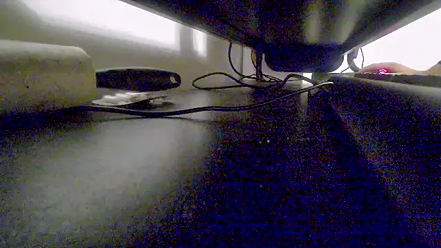 z3phs1337M online show from 12-09-24, 11:13