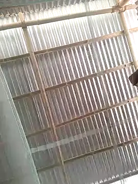 Gautambaro online show from 04-25-26, 06:49