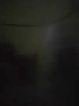 landy20cm online show from 10-16-25, 10:49