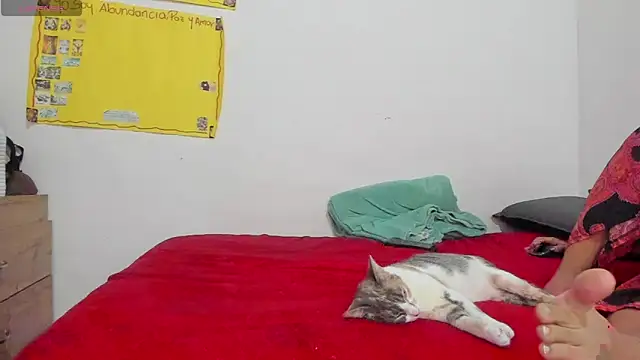 Hela wet online show from 11-24-25, 05:34