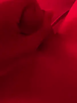 Snapshot of xsanchx chatting on 03-21-25, 11:01 xsanchx online show from 03-21-25, 11:01