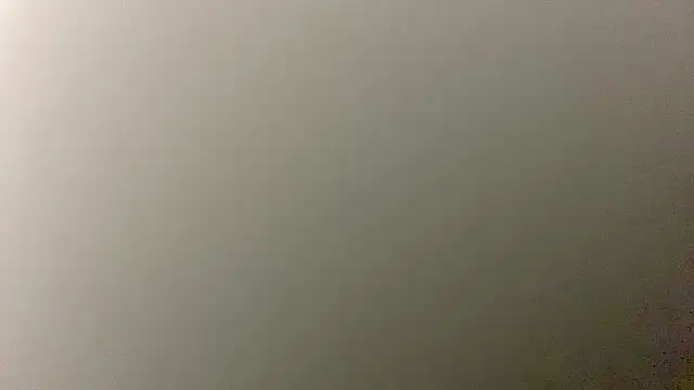 Snapshot of Pussy_hunter225 chatting on 12-02-25, 05:30 Pussy hunter225 online show from 12-02-25, 05:30