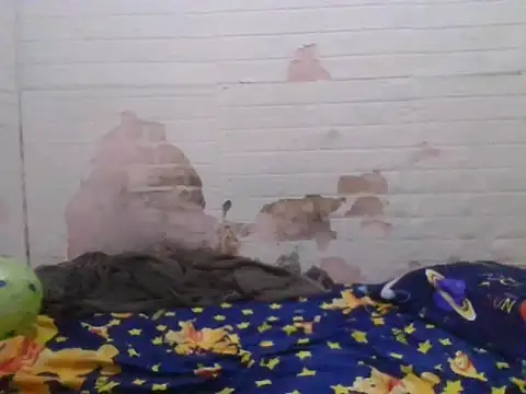 simplewild mom online show from 04-21-26, 02:04