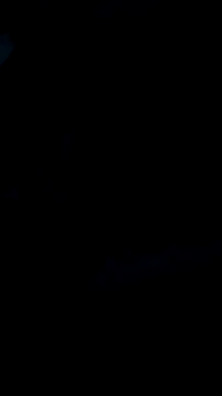 DauergeilMD online show from 01-25-25, 01:43