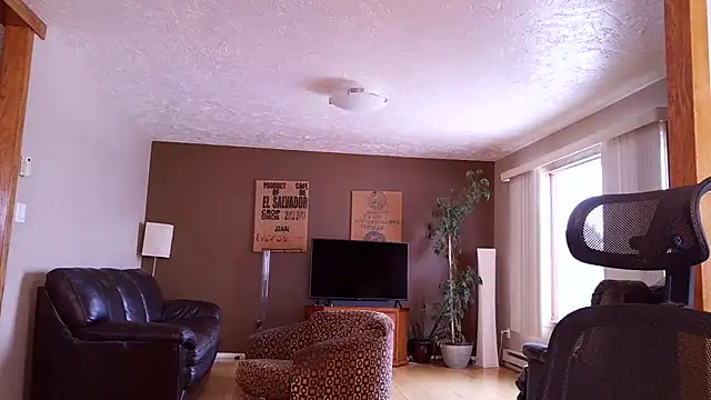 BasicAnt online show from 03-17-26, 01:47