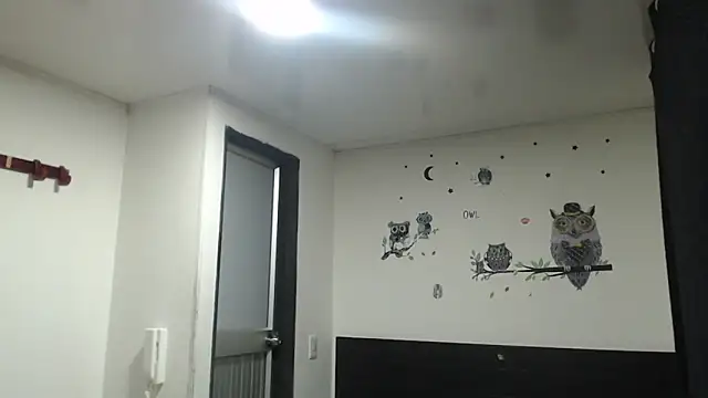 stifen  online show from 01-31-25, 03:41