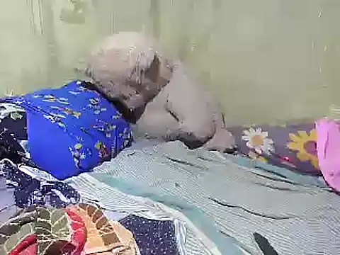 Snapshot of Alora-shine chatting on 02-18-25, 09:21 Alora-shine online show from 02-18-25, 09:21