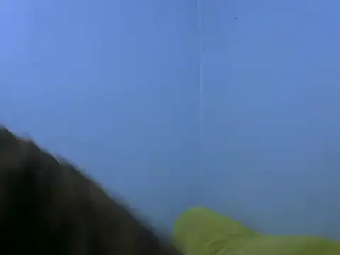 Snapshot of Forsia chatting on 02-06-25, 05:57 Forsia online show from 02-06-25, 05:57