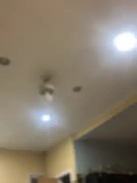 dingoding online show from 02-07-25, 10:40