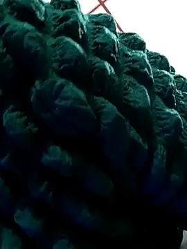 kelly dirty  online show from 03-19-25, 06:44