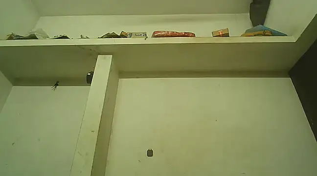 Snapshot of Akhilamolu_the_transsissy chatting on 02-08-25, 05:39 Akhilamolu the transsissy online show from 02-08-25, 05:39