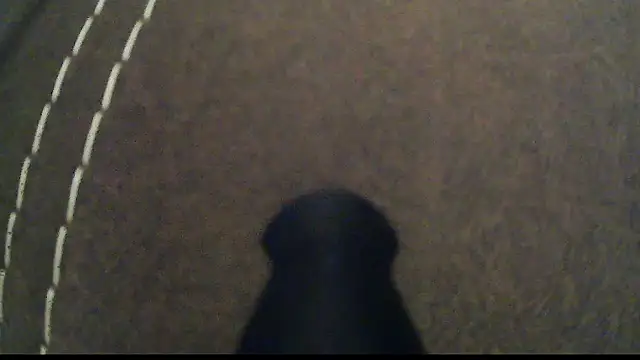 Snapshot of Dzutt chatting on 01-12-25, 05:33 Dzutt online show from 01-12-25, 05:33