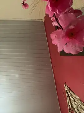 pimenta gaby online show from 04-17-26, 03:37