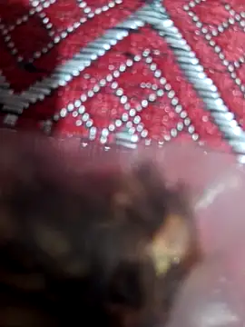 Snapshot of XBHUUME chatting on 02-01-25, 10:15 XBHUUME online show from 02-01-25, 10:15