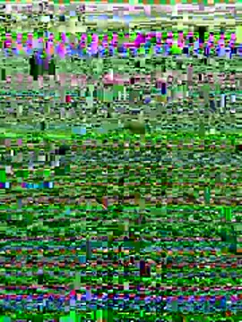 Wolfeman74 online show from 07-11-26, 06:54