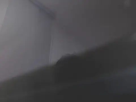 violetasweet11 online show from 02-19-26, 07:04