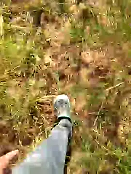 Gopal1243 online show from 01-07-26, 07:55