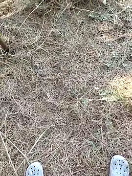 Gopal1243 online show from 01-09-26, 07:55