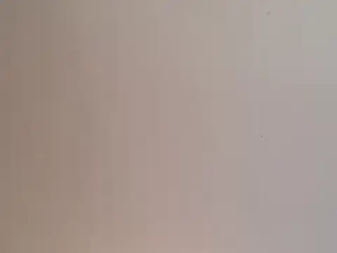 highstepper500 online show from 12-25-24, 02:02