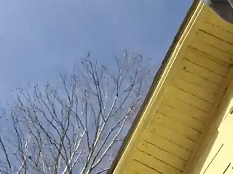 highstepper500 online show from 12-26-24, 05:15