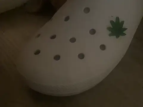 sexfaex online show from 10-15-25, 08:47