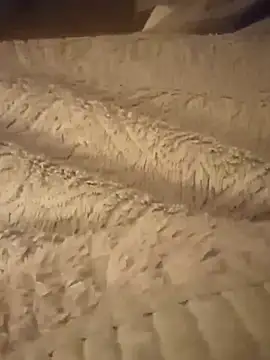 Mark Dad online show from 02-08-25, 05:29