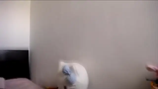 MARIANADIRTY online show from 11-11-25, 02:17