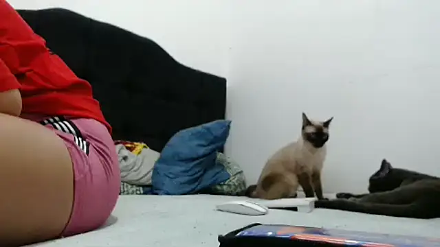 Snapshot of Emmily_Fox chatting on 12-02-24, 10:23 Emmily Fox online show from 12-02-24, 10:23