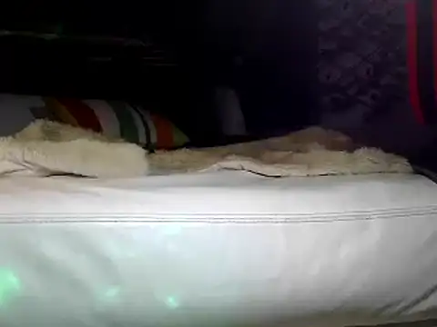 Snapshot of OSIRlS chatting on 01-17-25, 04:47 OSIRlS online show from 01-17-25, 04:47