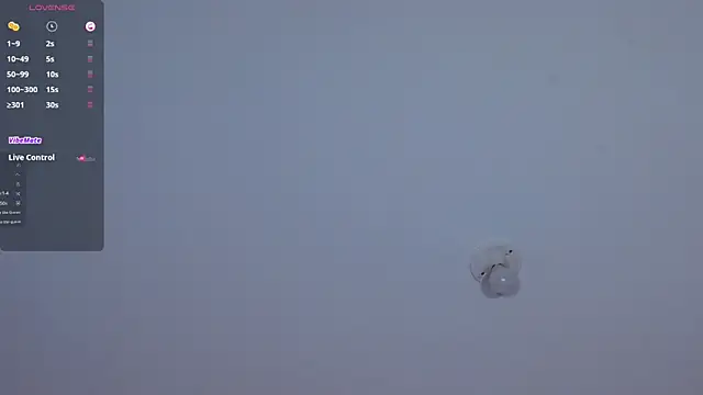 bella n99 online show from 12-29-24, 03:13