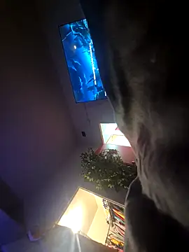 Sweetieboi04 online show from 04-18-26, 06:17