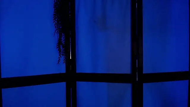 Snapshot of Wildorchid_ chatting on 12-02-24, 04:53 Wildorchid  online show from 12-02-24, 04:53