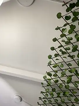 adriscute online show from 04-03-26, 06:17