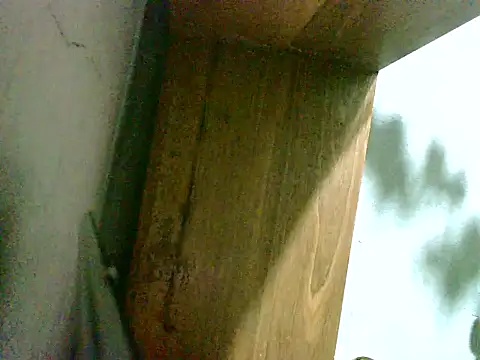 2ocmaxi online show from 03-08-26, 02:04