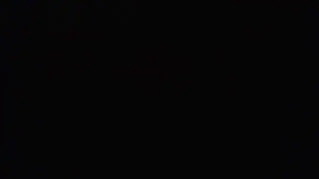 mrdago2 online show from 12-13-25, 11:43