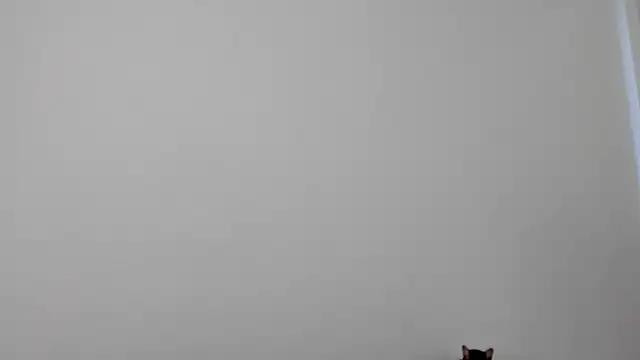 All yours555 online show from 10-17-25, 08:55