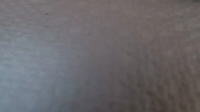 Snapshot of TsSandyx chatting on 04-30-26, 10:21 TsSandyx online show from 04-30-26, 10:21