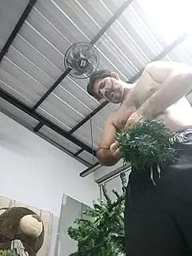 Maxi TheBigDaddy online show from 01-11-26, 11:43