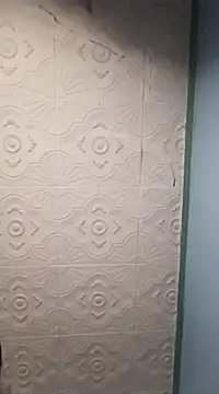 HAIRY PUSSY BIG online show from 01-01-25, 01:05