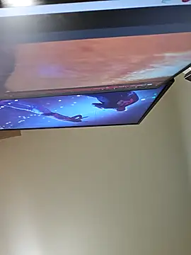 xx21cm online show from 12-13-24, 01:48