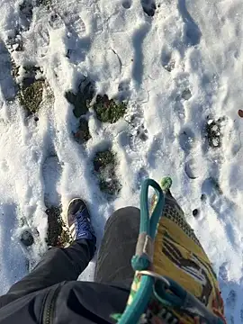 Mrbighardcock online show from 01-14-26, 10:21