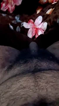 Naughtyforpussy online show from 02-01-25, 11:27