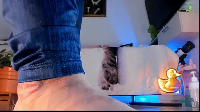 miaa-lee online show from 10-23-25, 04:28